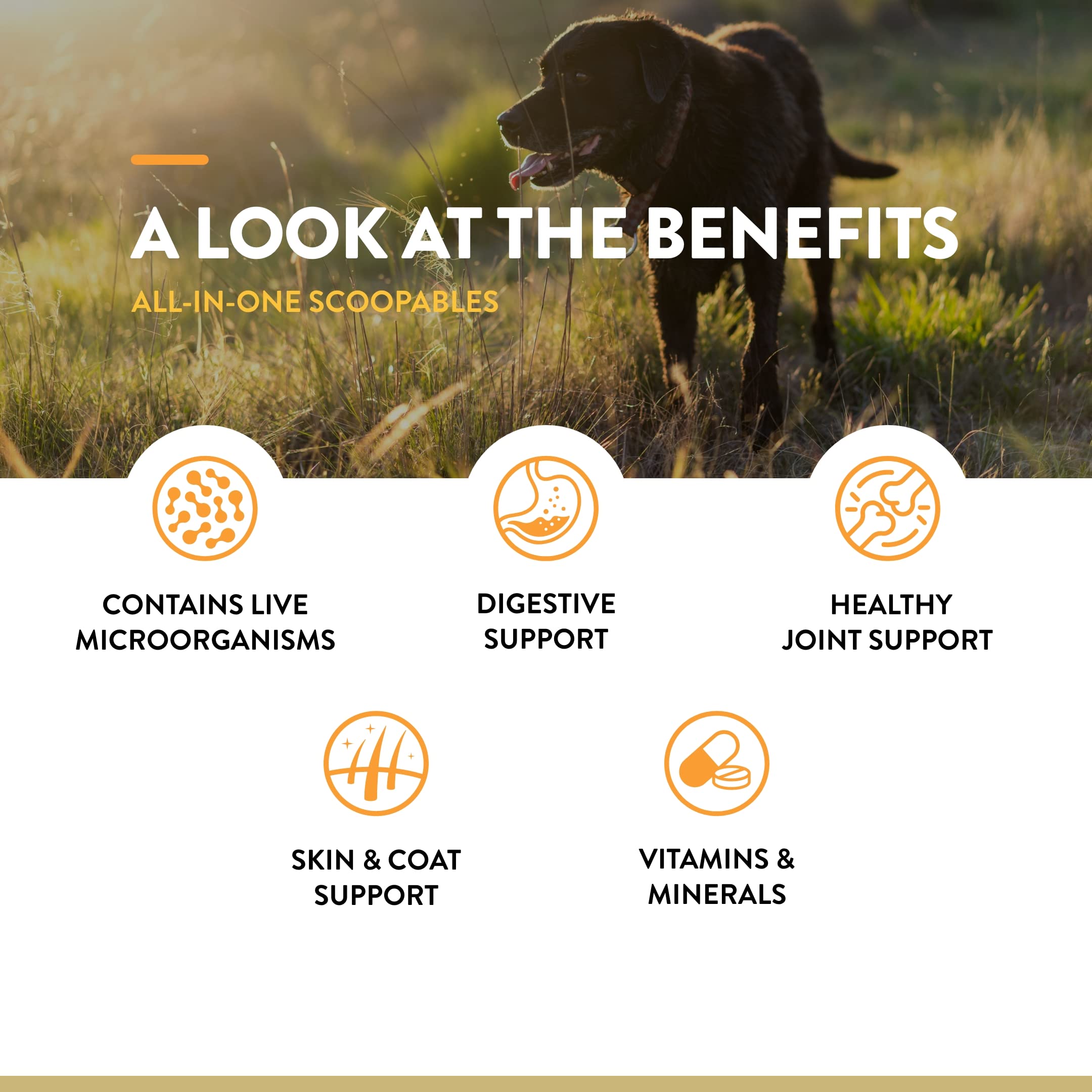 NaturVet Scoopables bacon flavor bowl appeals to finicky eaters.