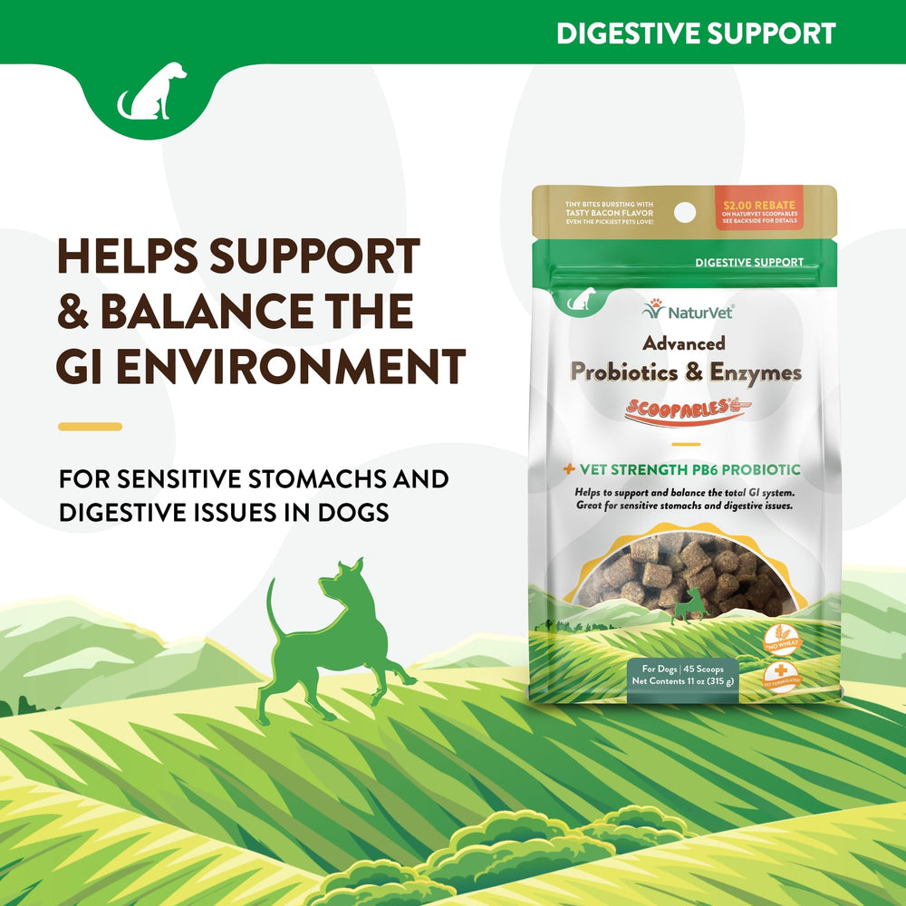 NaturVet Scoopables bacon flavor close-up highlights tasty treat your dog may enjoy.
