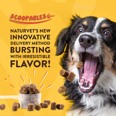 NaturVet Scoopables bag pour-serve easy daily dosing with bacon flavor.