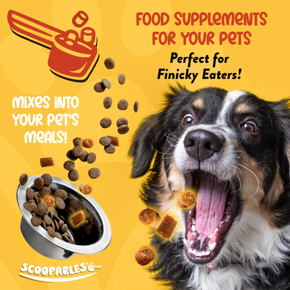 NaturVet Scoopables chewable probiotic treats for dogs with bacon flavor attracting picky eaters.