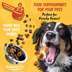 NaturVet Scoopables chewable probiotic treats for dogs with bacon flavor attracting picky eaters.