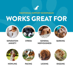 NaturVet Scoopables hickory-smoked-bacon flavor label signals tasty, daily mood-support option.