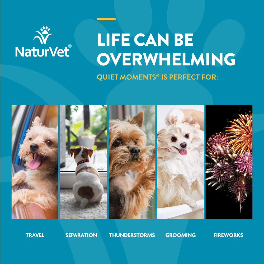 NaturVet Scoopables Hickory Smoked Bacon flavor showcases palatable treat for finicky eaters