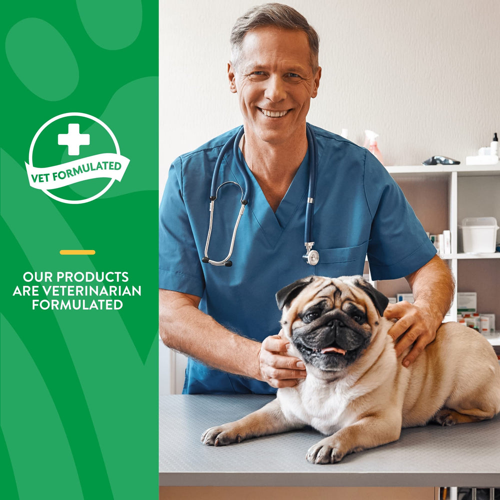 NaturVet Scoopables No Scoot psyllium husk supports regular bowel movements