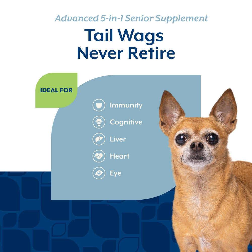 NaturVet Senior Advanced 5-in-1 bottle close-up features coenzyme Q10 and milk thistle for liver support.