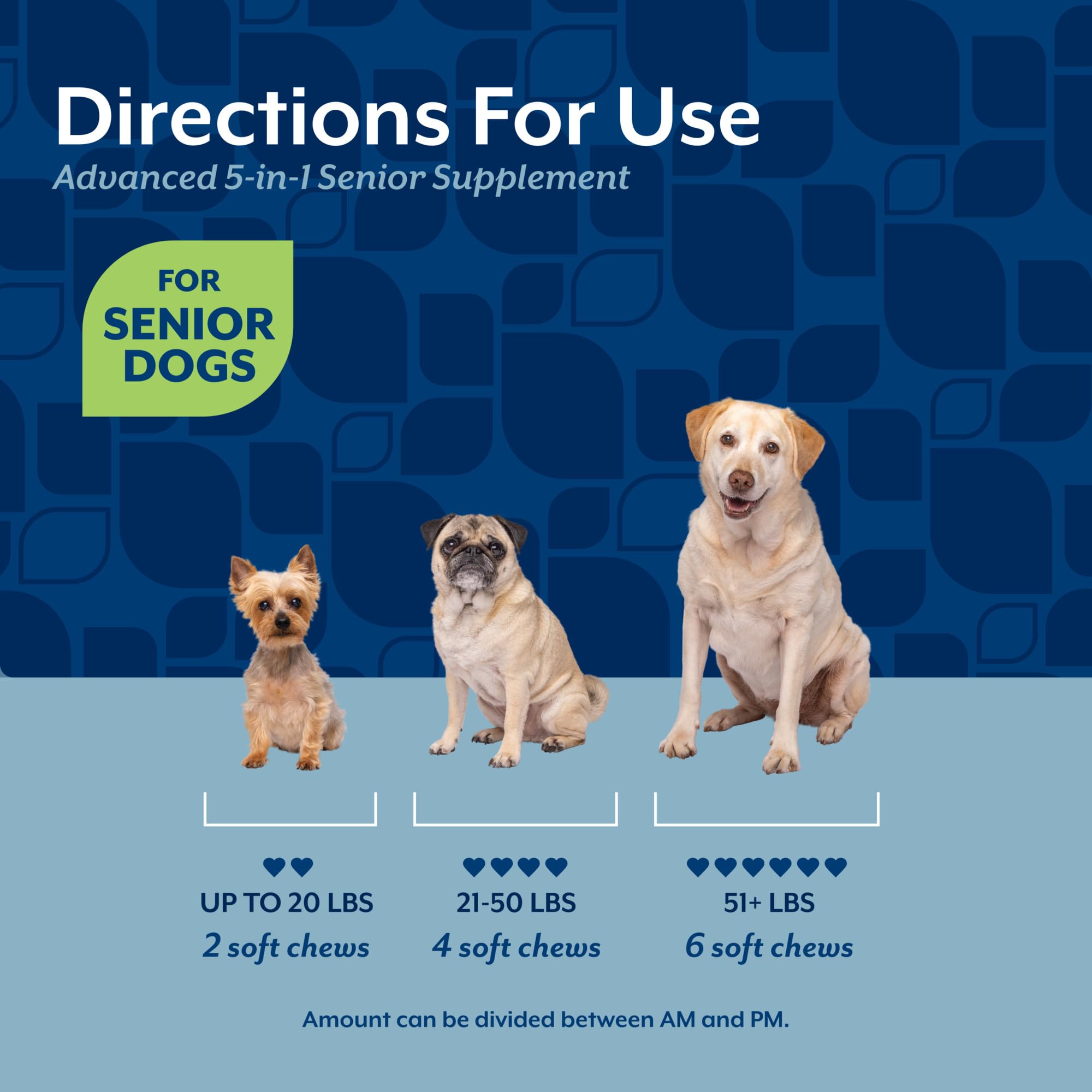 NaturVet Senior Advanced 5-in-1 immune health visual conveys immune system support.