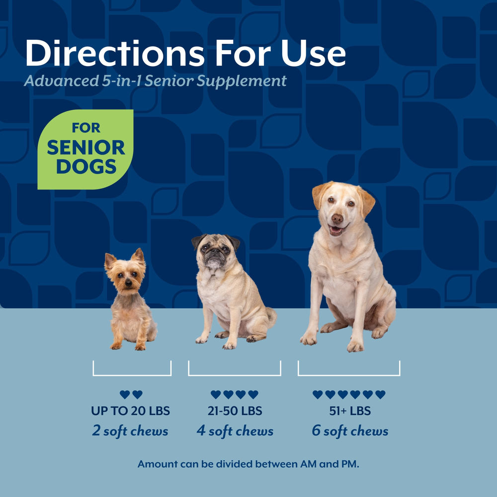 NaturVet Senior Advanced 5-in-1 immune health visual conveys immune system support.