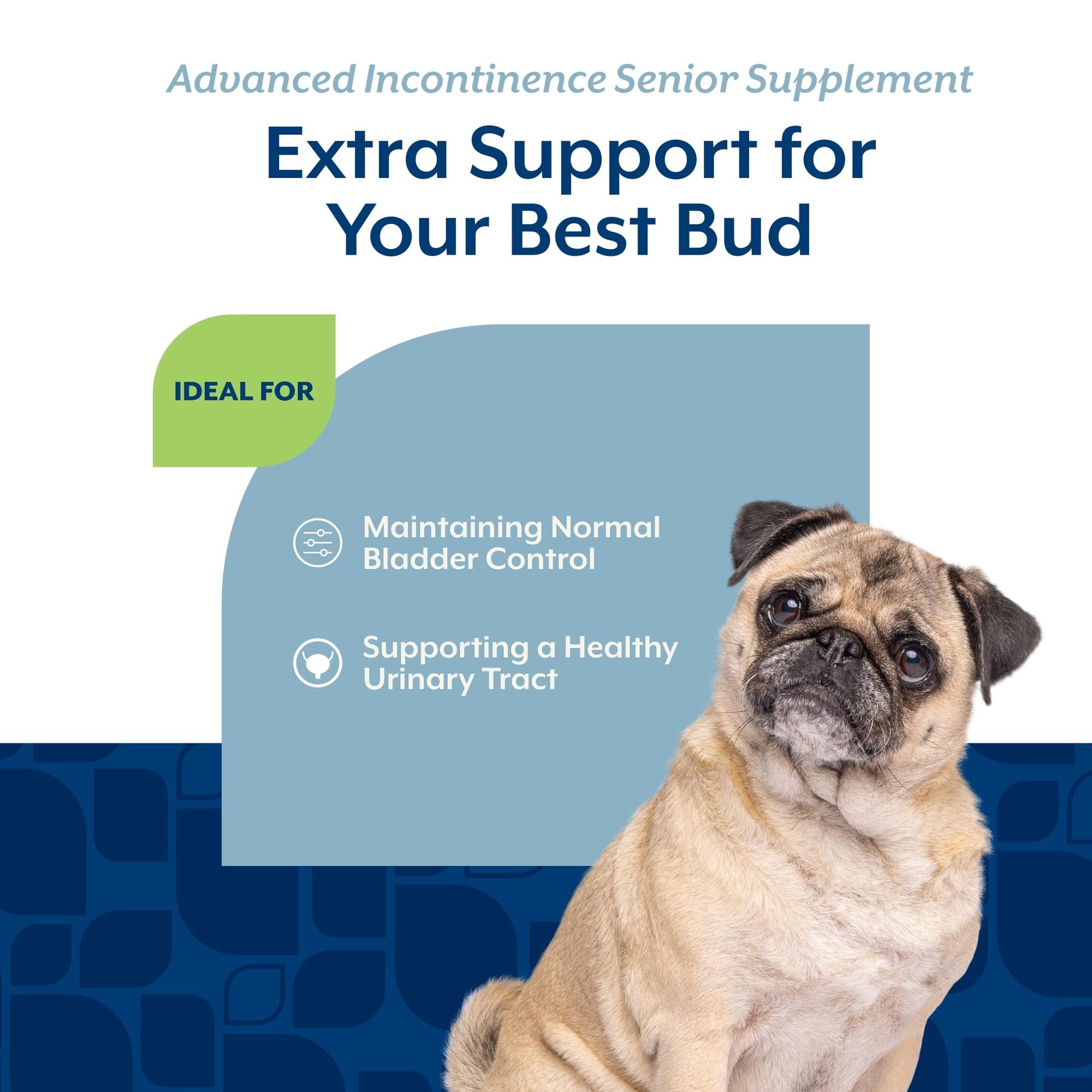 NaturVet Senior Advanced Incontinence packaging emphasizes urinary health support for dogs.