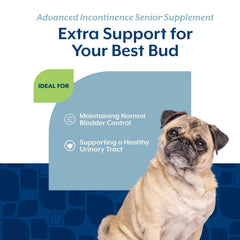 NaturVet Senior Advanced Incontinence packaging emphasizes urinary health support for dogs.