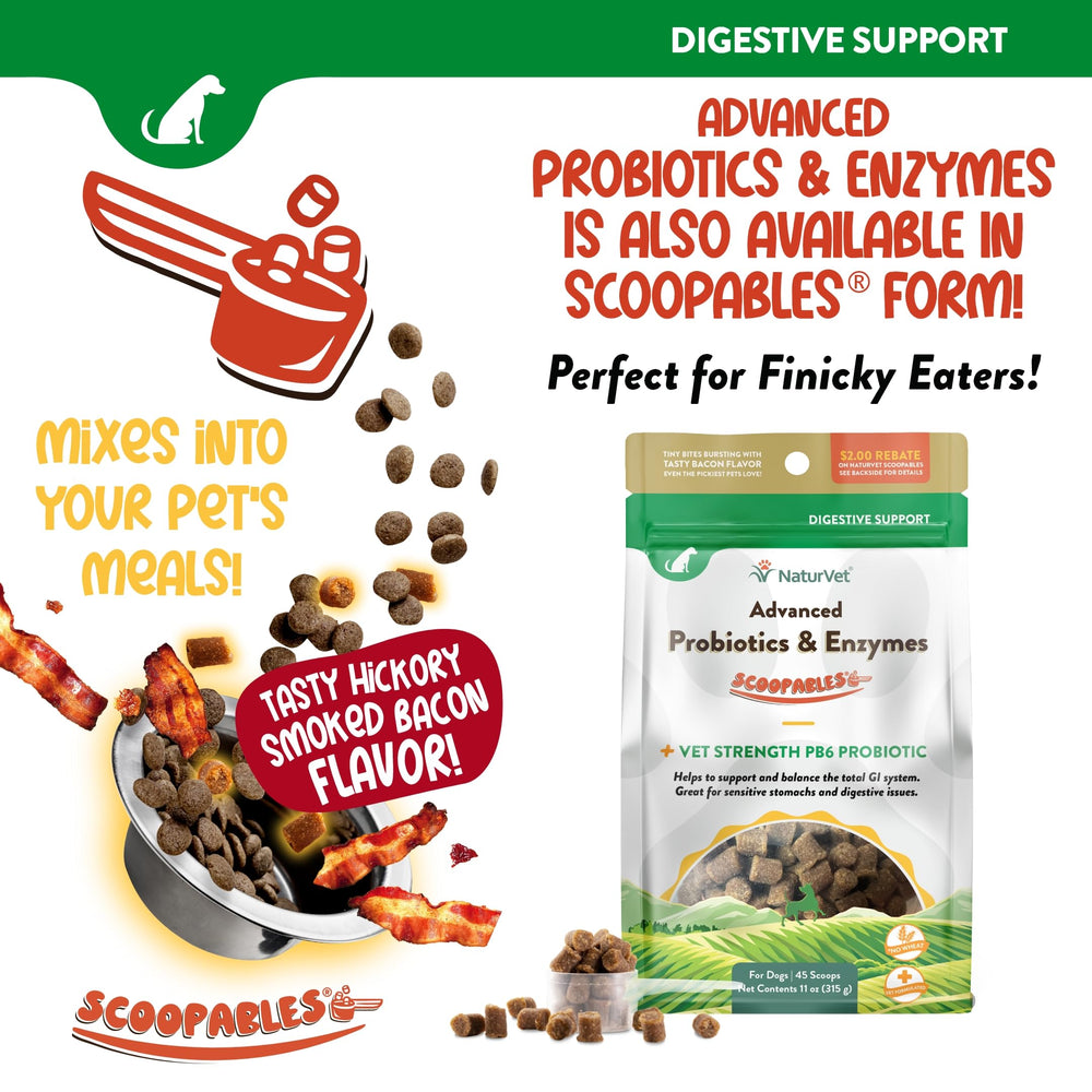 NaturVet senior-dog chew in hand supporting gentle digestion.