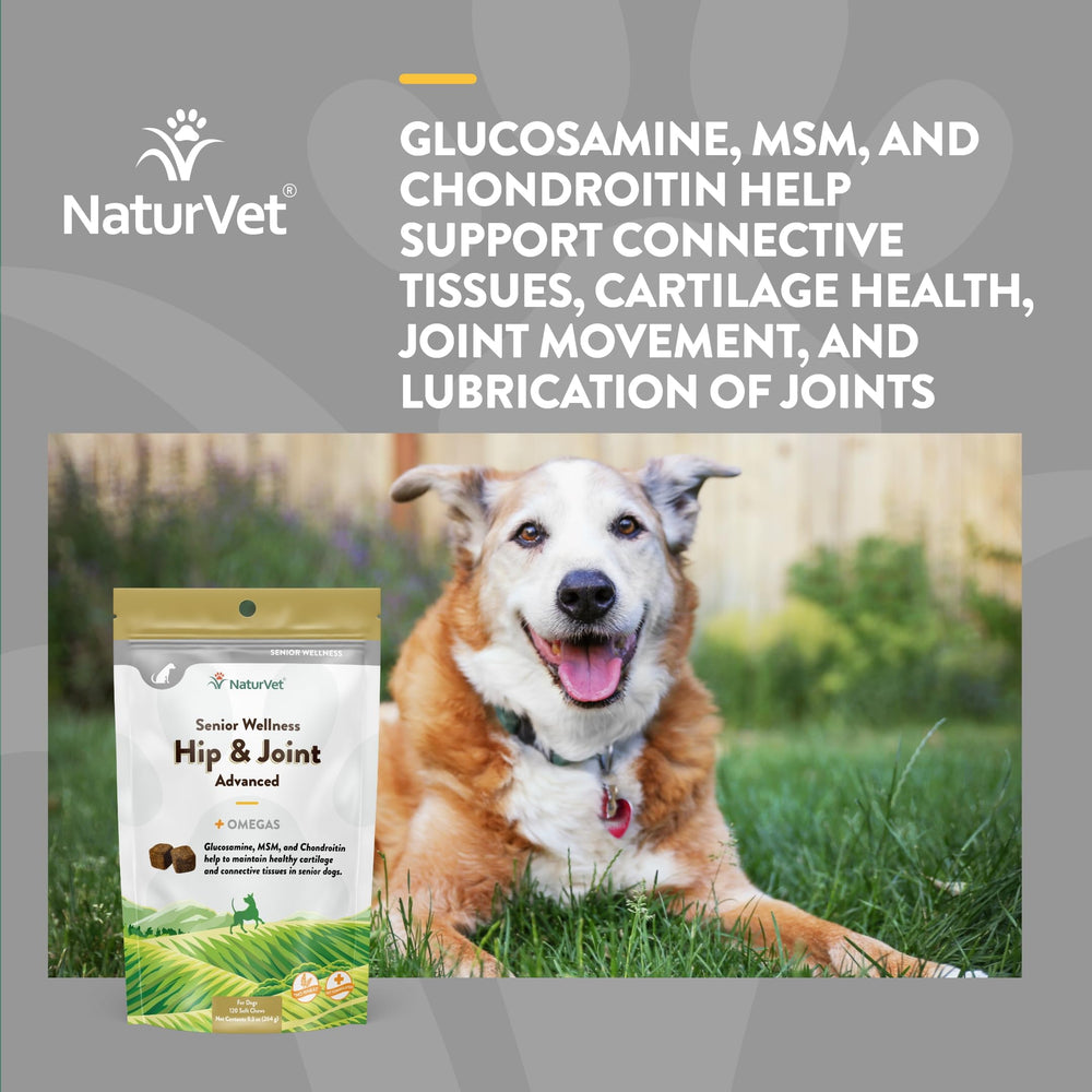 NaturVet Senior Wellness Hip & Joint Advanced Plus Omegas soft chews close-up highlight palatability for daily feeding.
