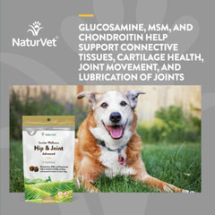 NaturVet Senior Wellness Hip & Joint Advanced Plus Omegas soft chews close-up highlight palatability for daily feeding.