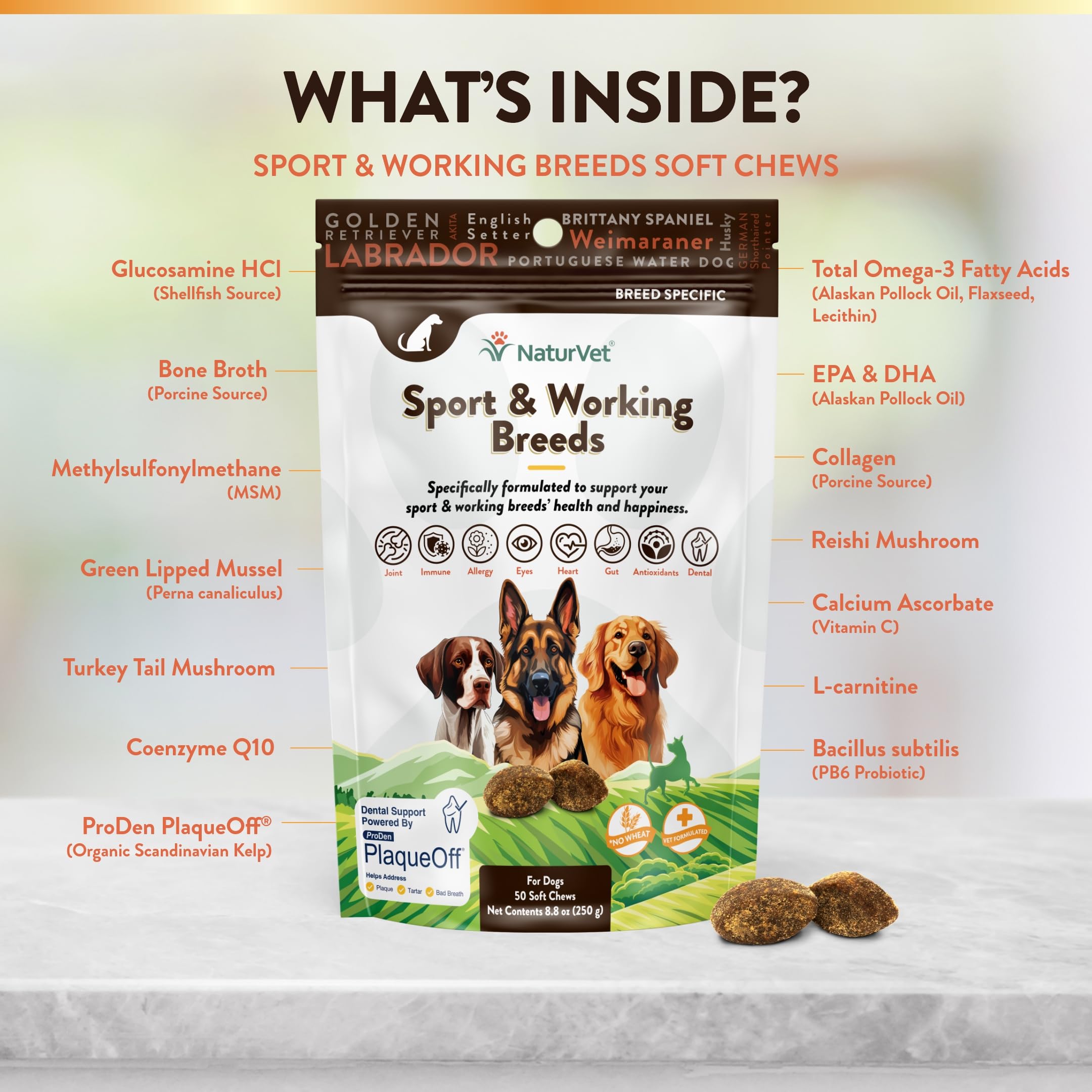 NaturVet Sport Breed ingredients graphic highlighting glucosamine and bone broth for joints.