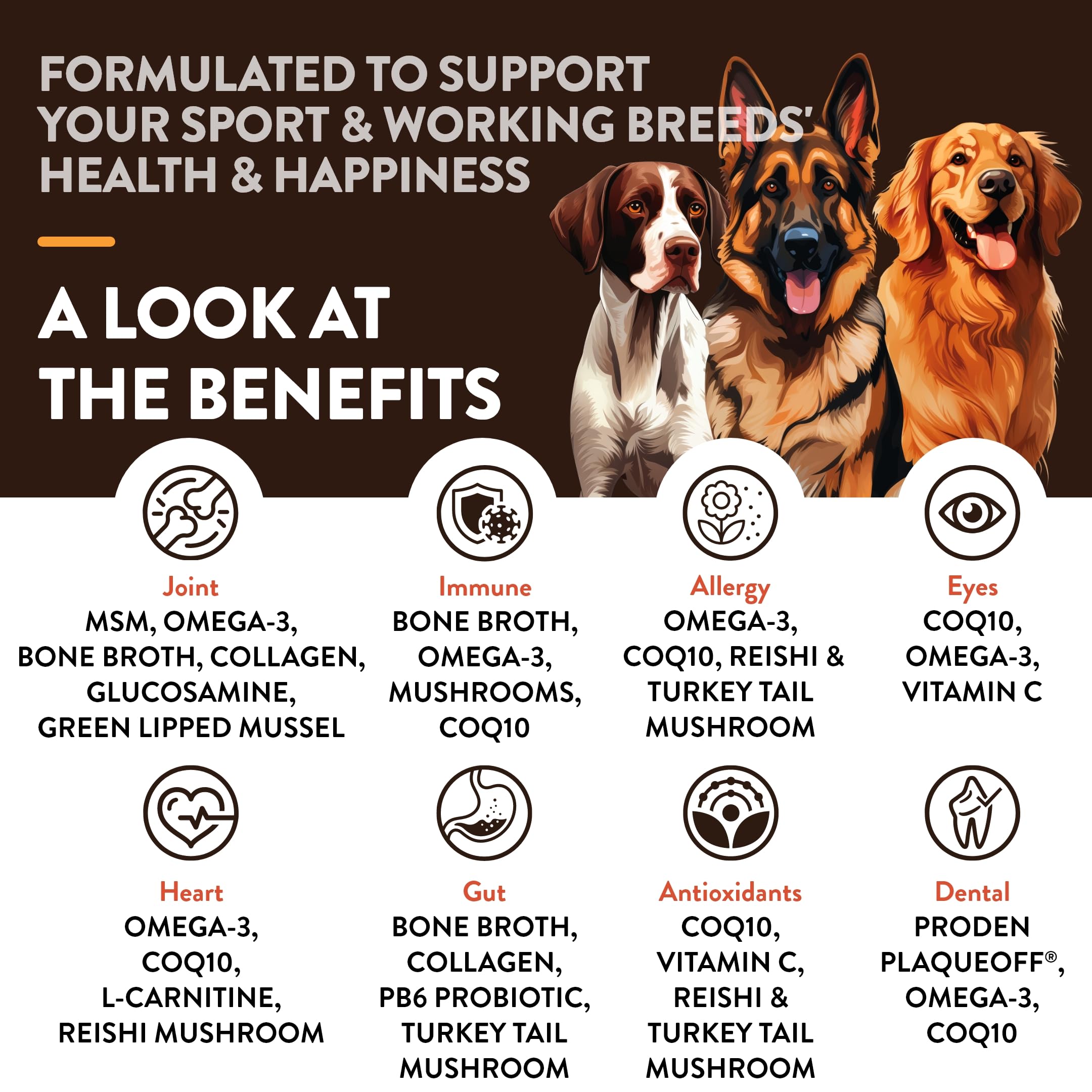 NaturVet Sport Breed packaging showing a wheat-free formula for active dogs.