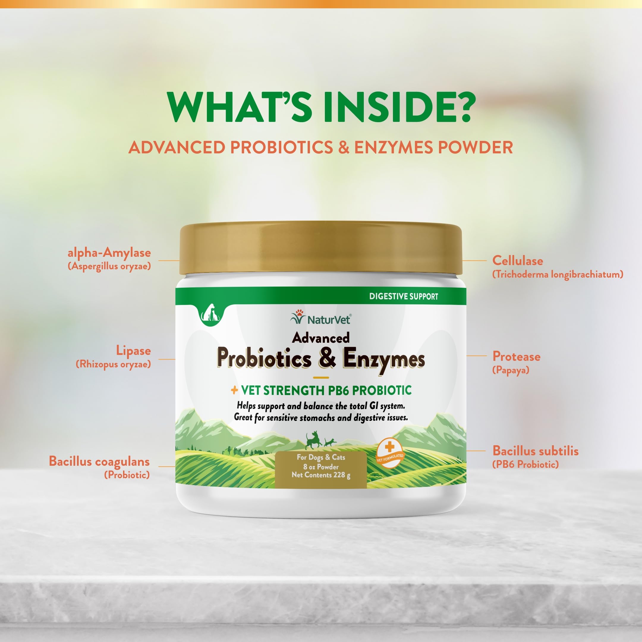 NaturVet veterinarian-formulated blend aids pets with sensitive stomachs.