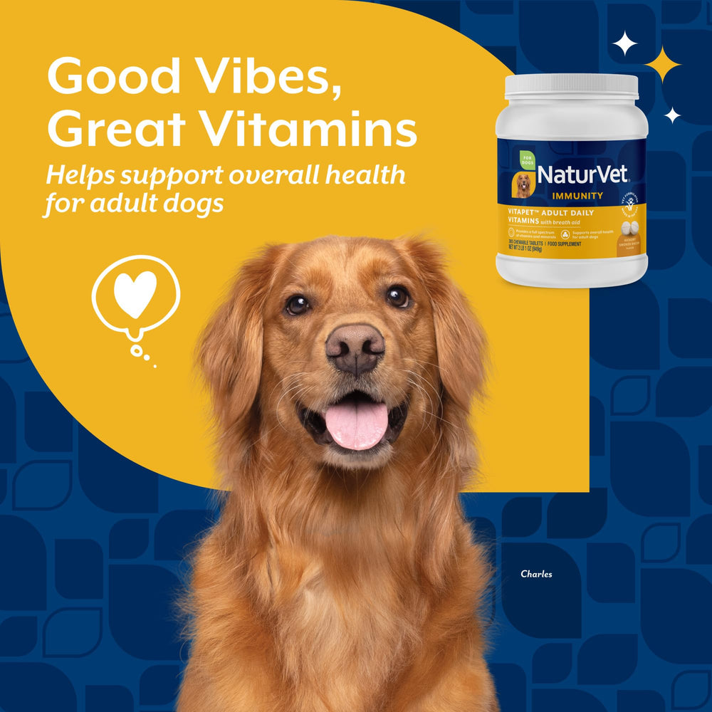 NaturVet Vita Pet Breath Aid dog with tablet during daily routine