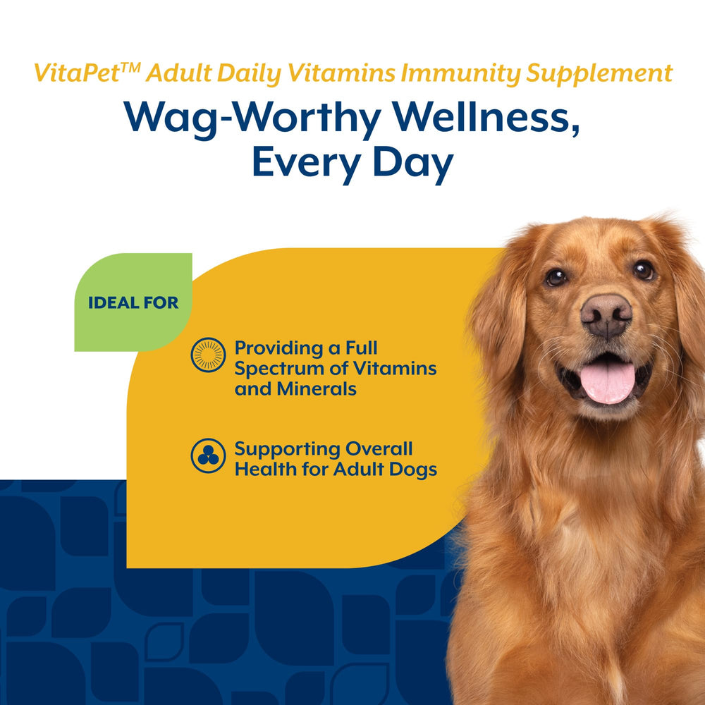 NaturVet VitaPet dog in kitchen during snack time, easy daily chew.