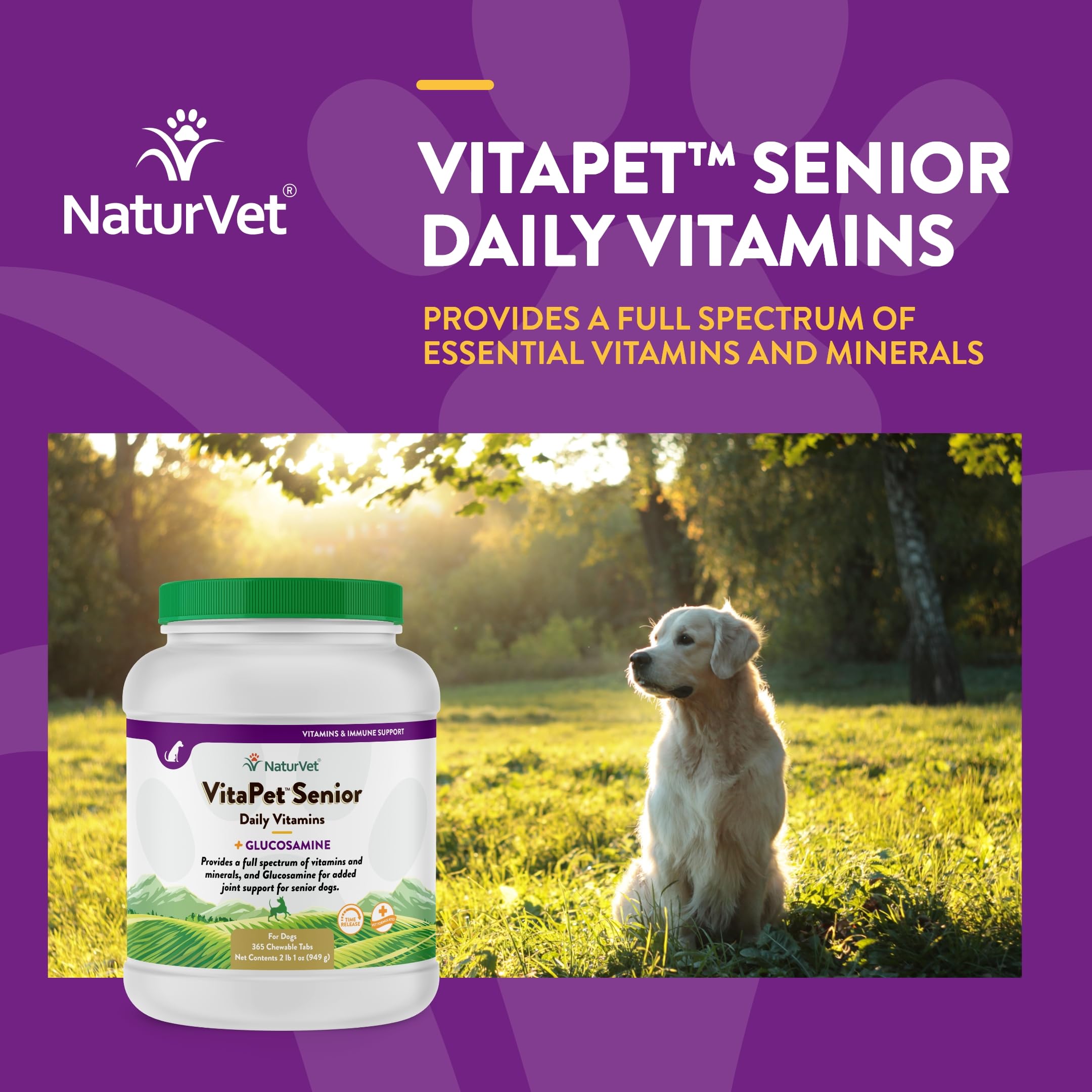 NaturVet VitaPet Senior glucosamine boost image for joint care