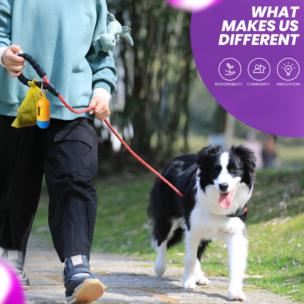 Natuural poop bags in use during a leash walk for convenient cleanup