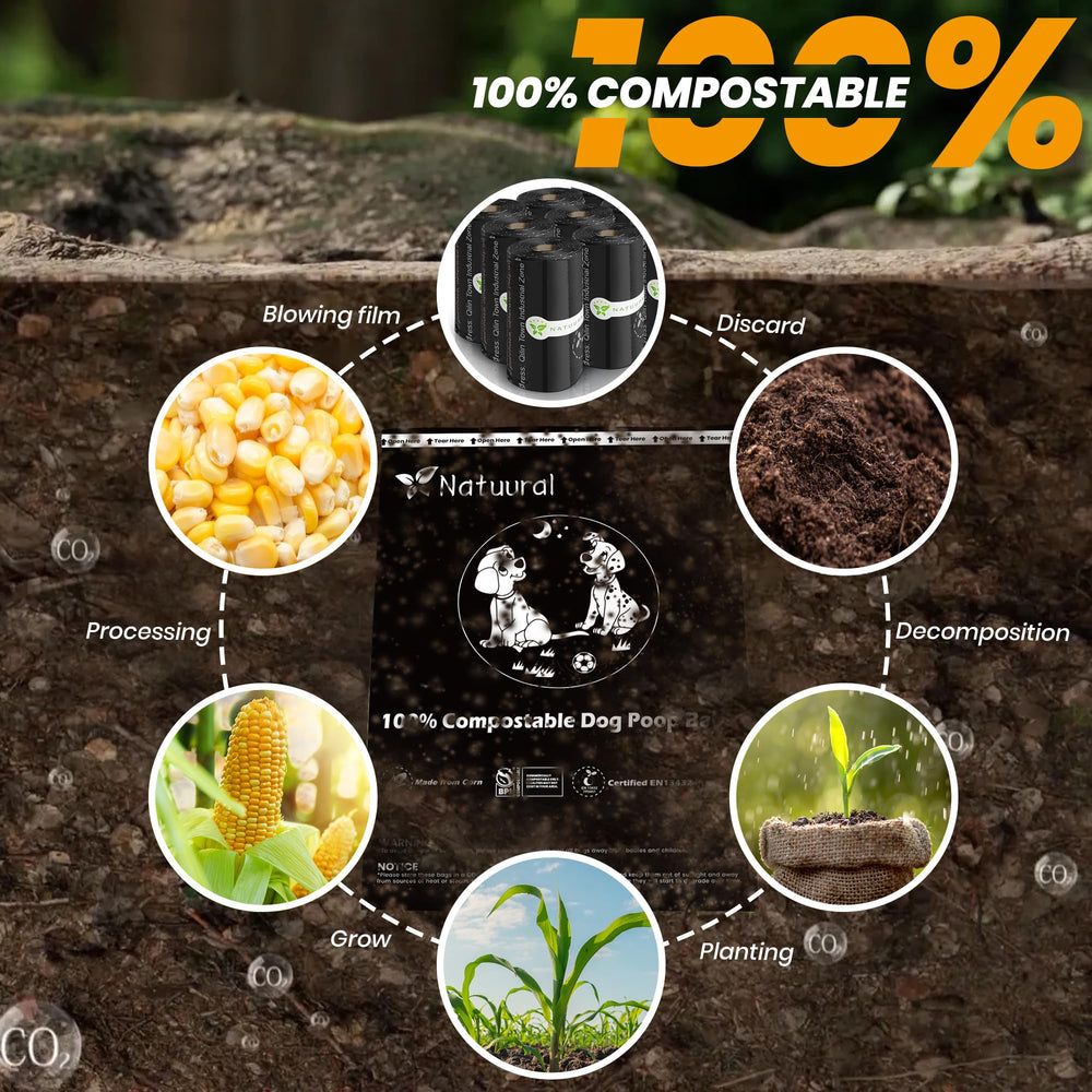 Natuural eco-friendly green packaging supports sustainable choices.