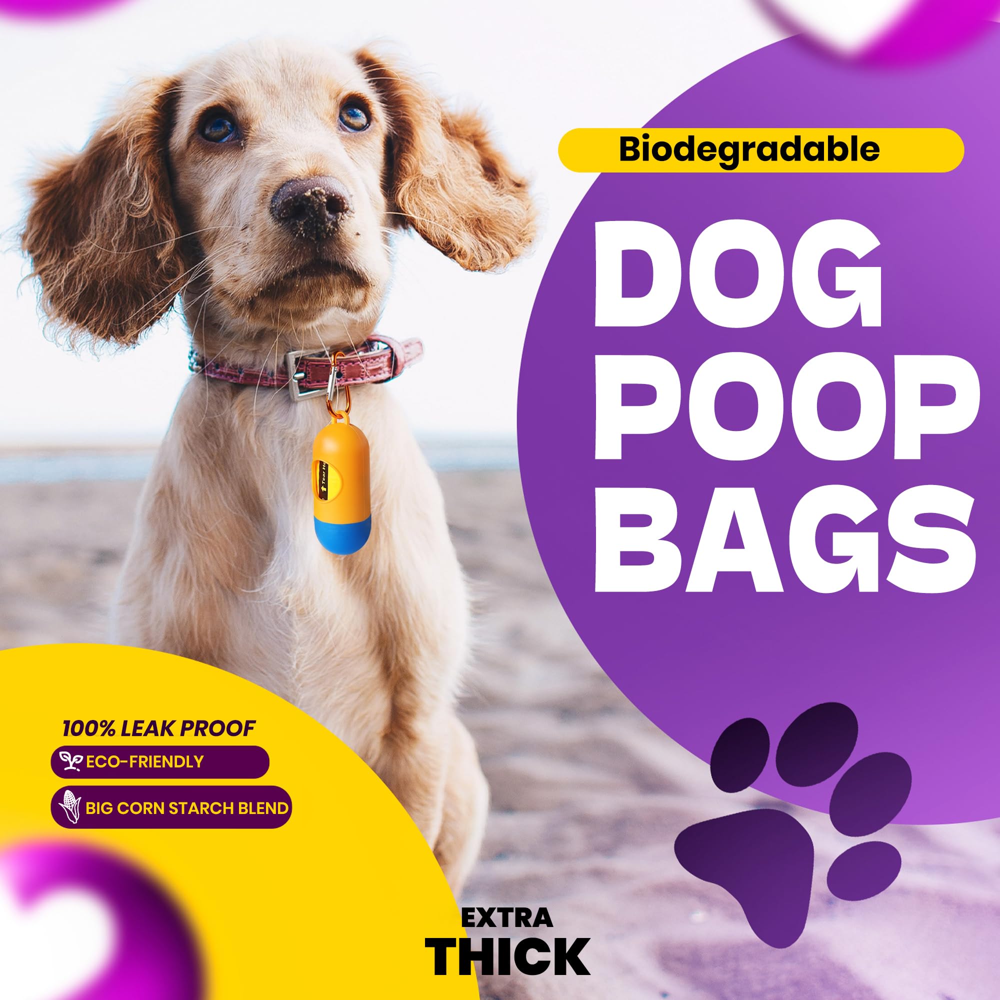 Eco-friendly choice with Natuural bags supporting greener streets and routines