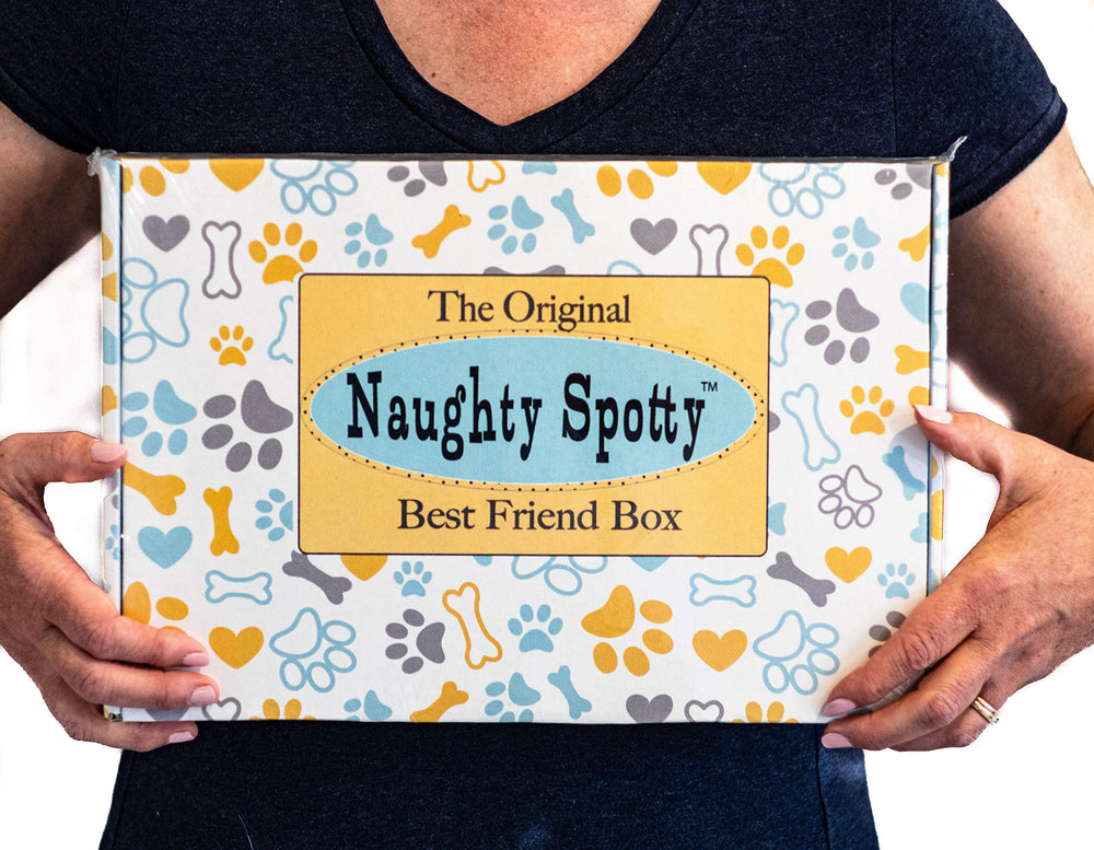 Naughty Spotty Decorative Gift Box features whimsical packaging perfect for gifting.