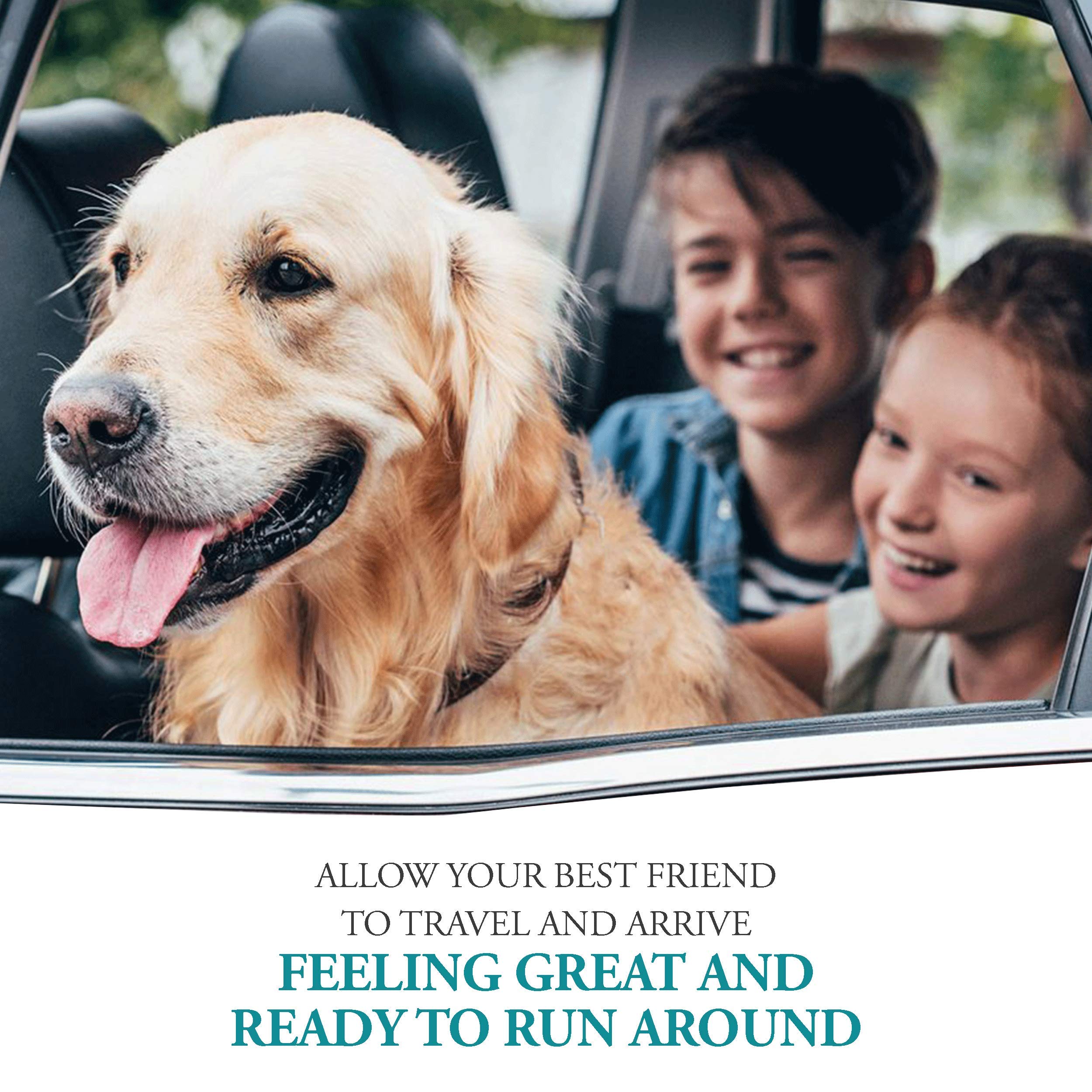 NausX dog car sickness pre-travel dosing supports planning trips