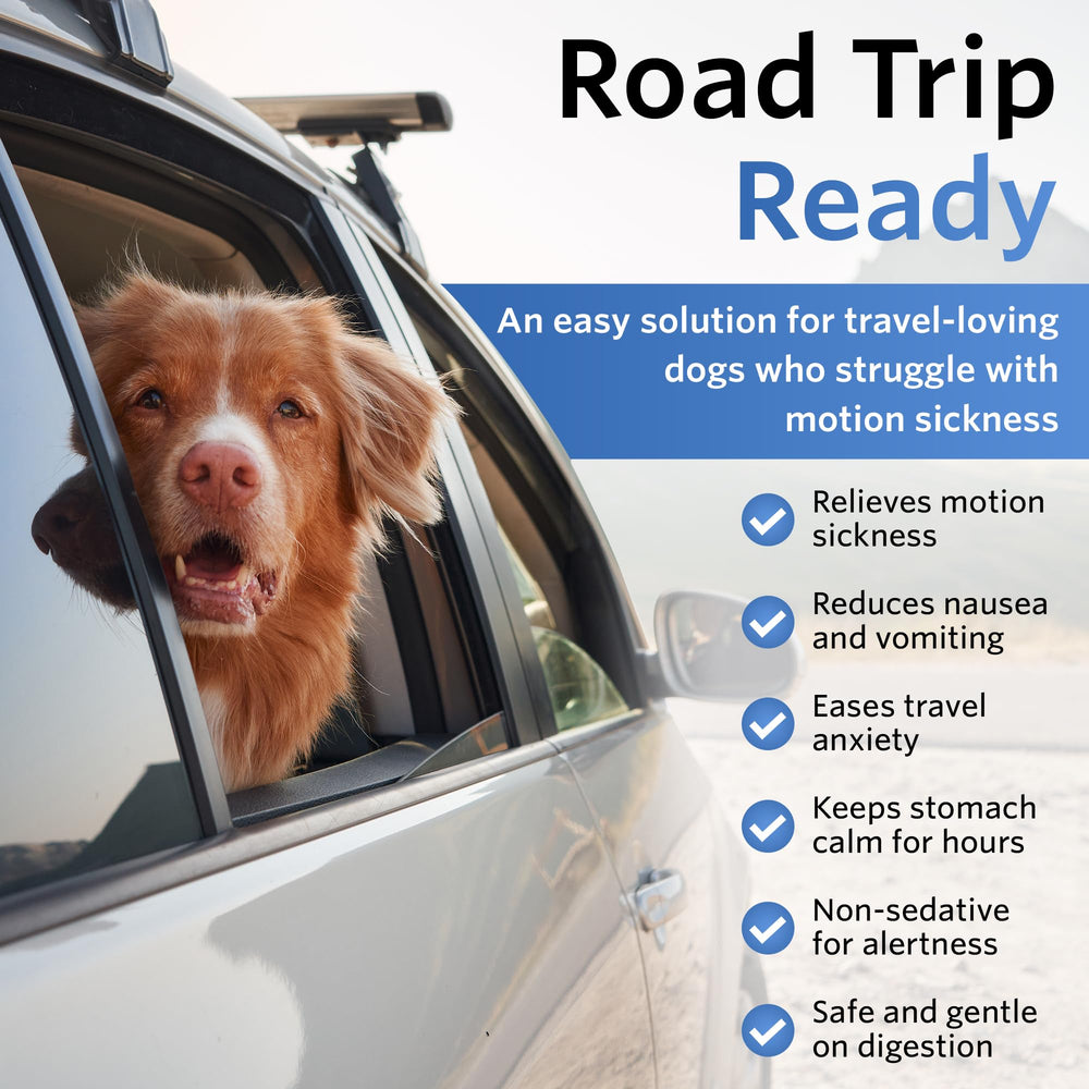 NausX dog on car trip relief demonstrates reduced nausea during rides