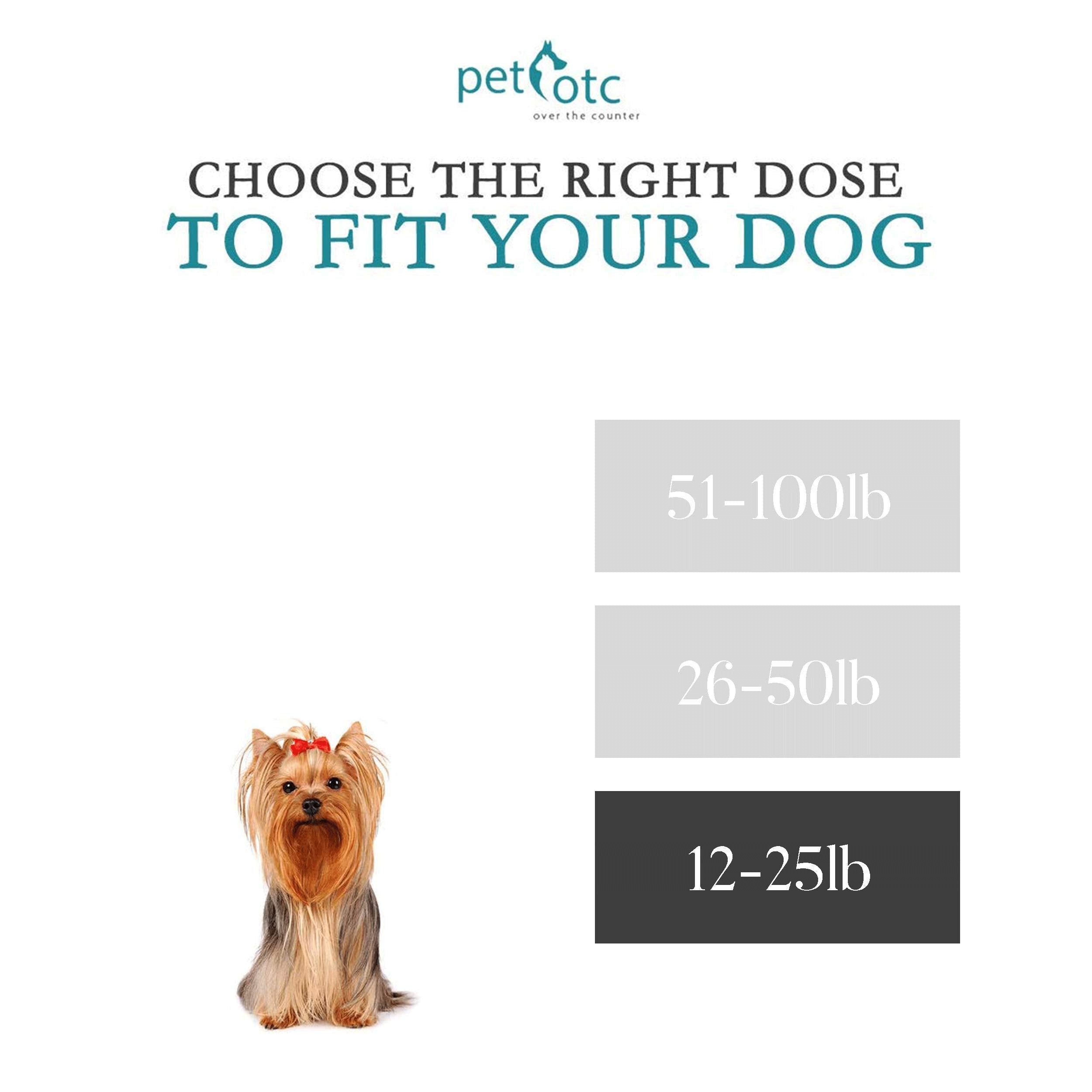 NausX easy-swallow dog pill shown for simple administration