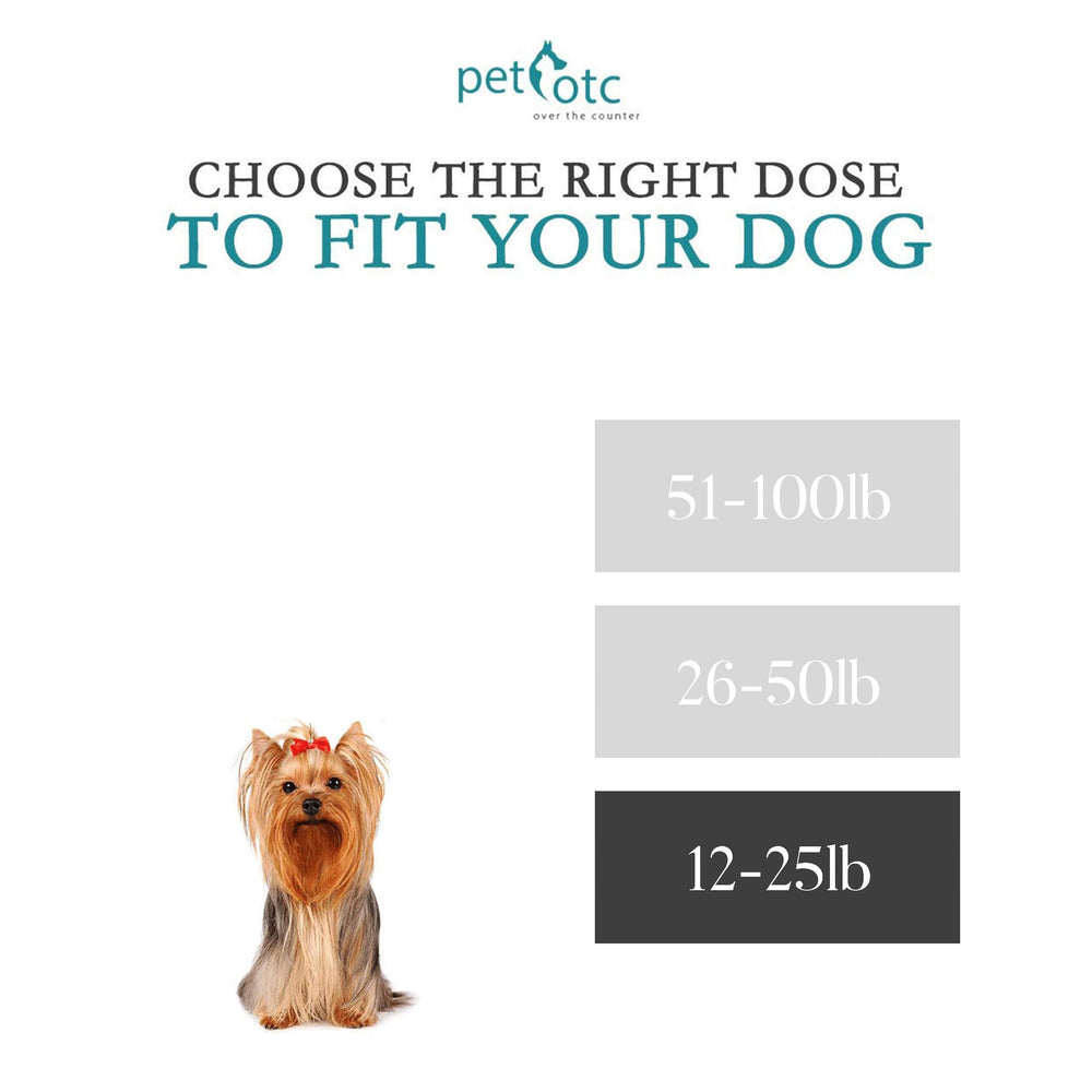 NausX easy-swallow dog pill shown for simple administration