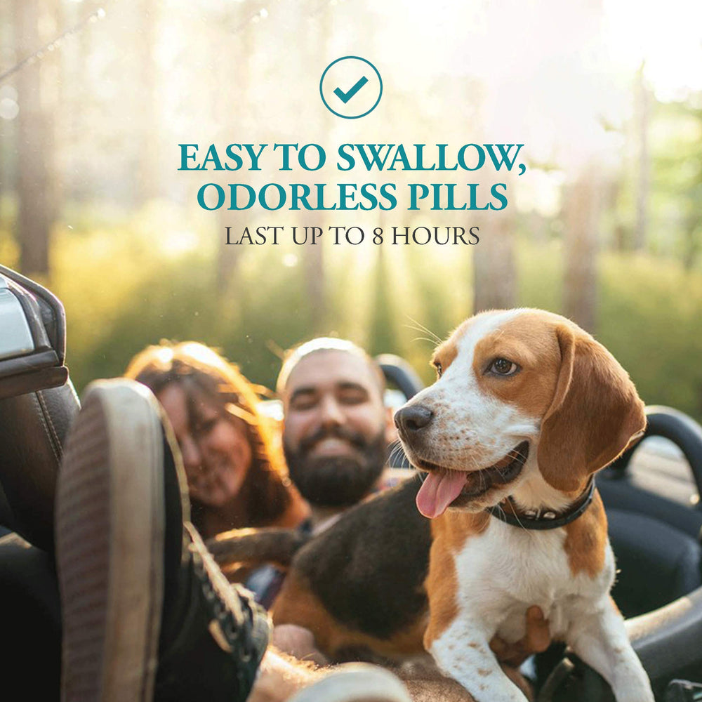 NausX precaution label highlights safety and vet consultation for Meclizine use