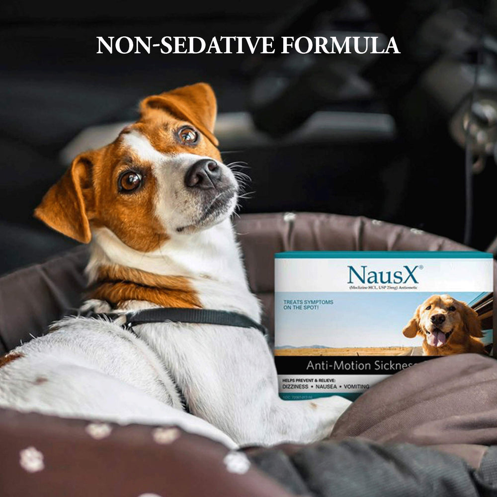 NausX travel friendly pack ideal for car train or plane journeys
