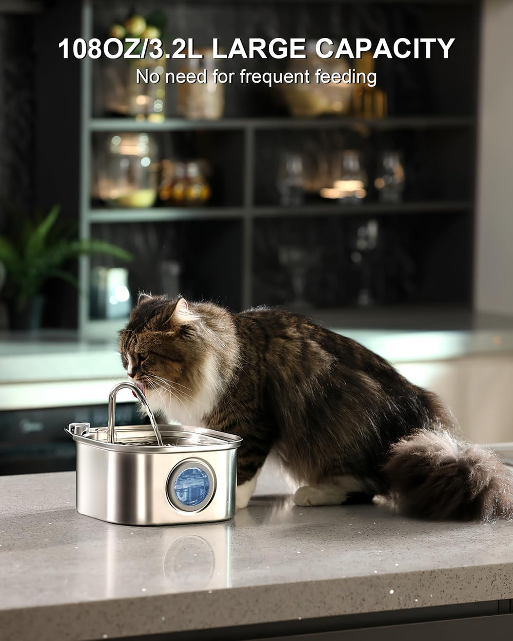 NautyPaws quiet pump operates under 20 dB for peaceful home use.