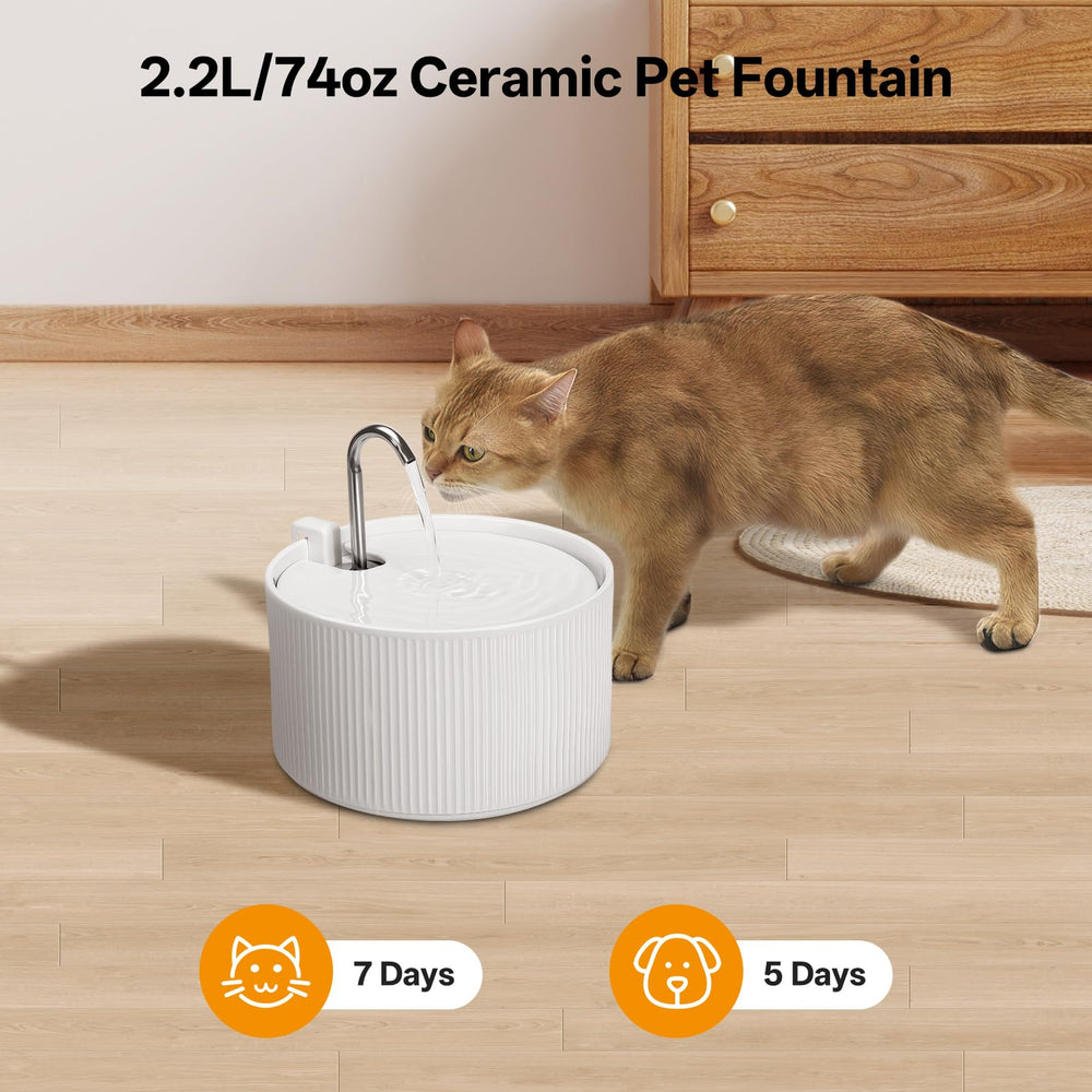 NautyPaws quiet water fountain pump reduces noise for peaceful pet sipping