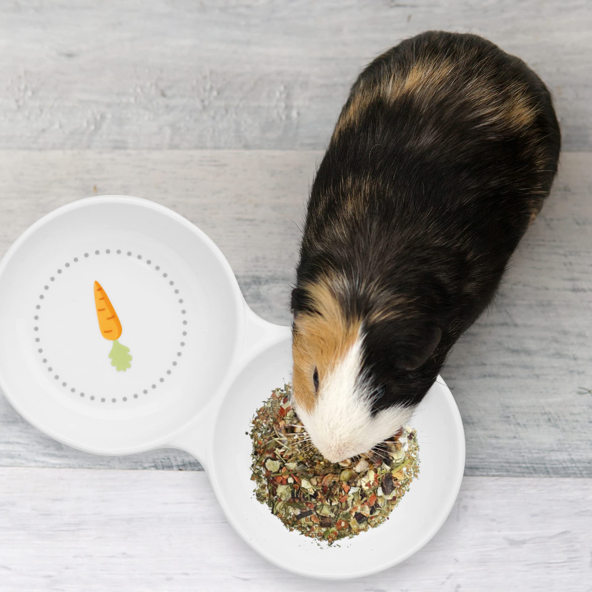 Navaris ceramic bowl for rabbits and guinea pigs with carrot-pattern for daily use.