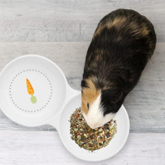 Navaris ceramic bowl for rabbits and guinea pigs with carrot-pattern for daily use.