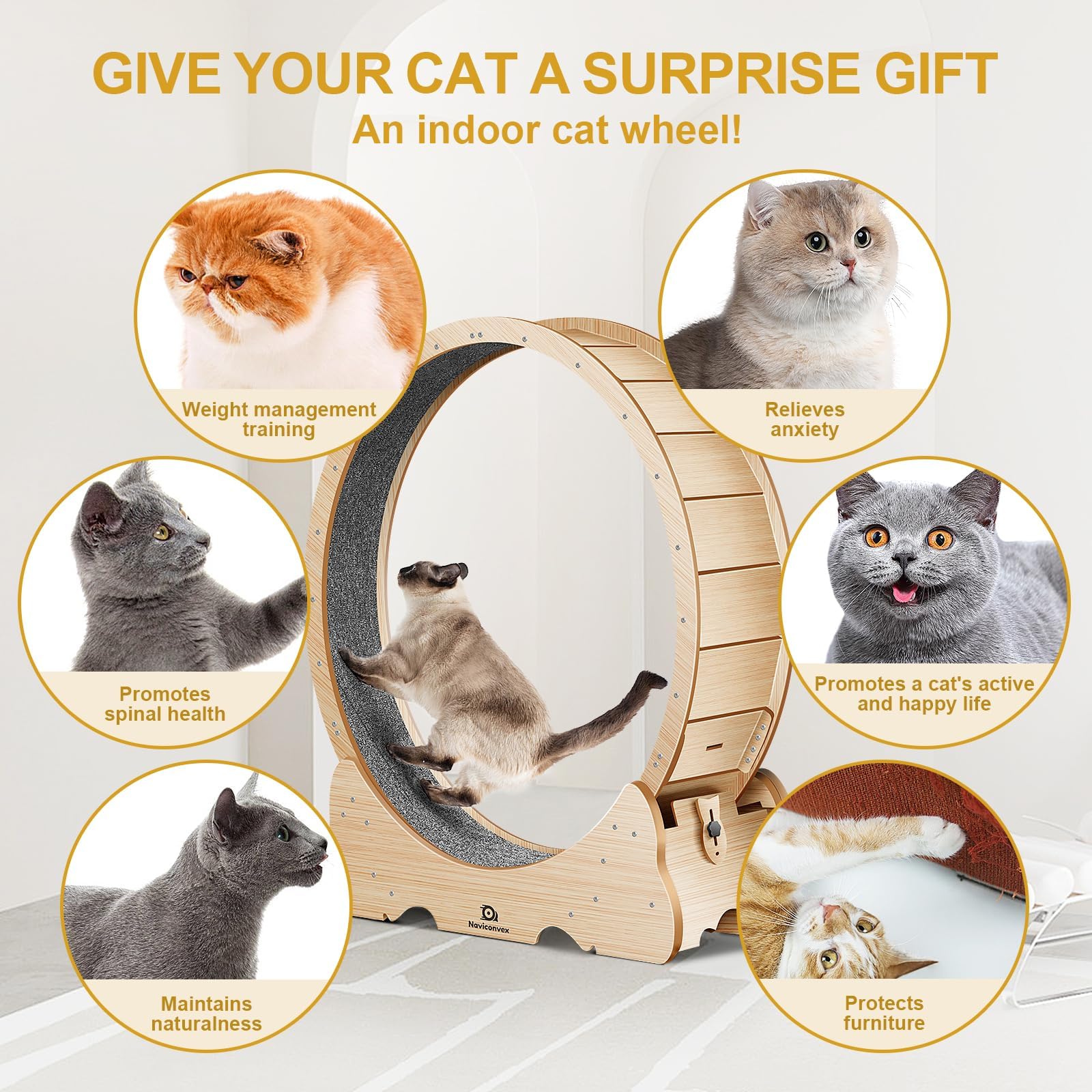 Naviconvex cat wheel base stability demonstrates a broad non-tip foundation.