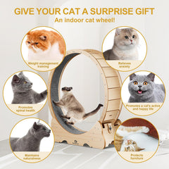 Naviconvex cat wheel base stability demonstrates a broad non-tip foundation.