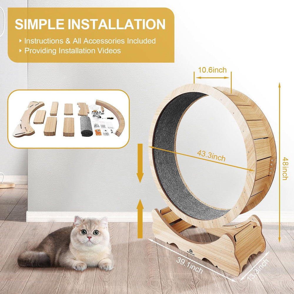 Naviconvex cat wheel indoors use fits apartments for daily activity.