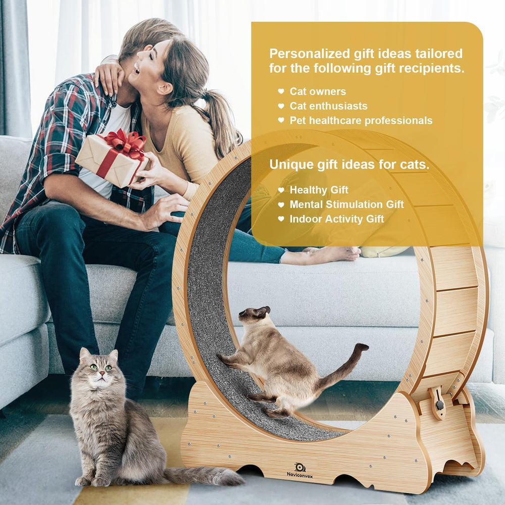 Naviconvex cat wheel room setup fits modern living spaces elegantly