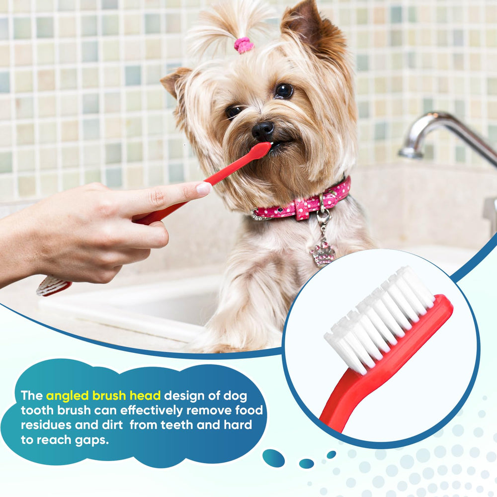 Navona pet toothbrush set supports easy cleaning and long-lasting use.