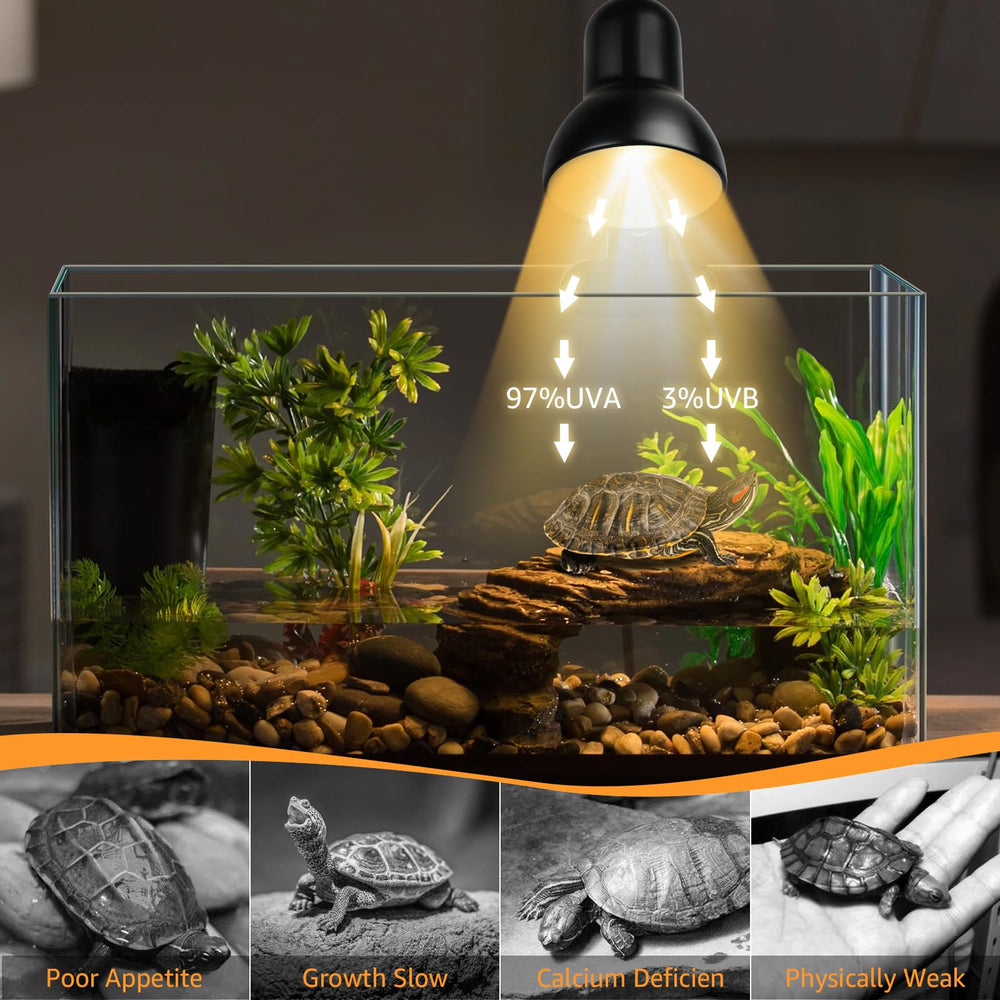 NBIIUYIGE reptile heat lamp two bulbs 25W 50W provides versatile heat gradients.