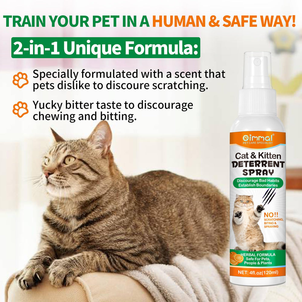 NBTREKTIE cat-free zone setup on rug demonstrates boundary creation.
