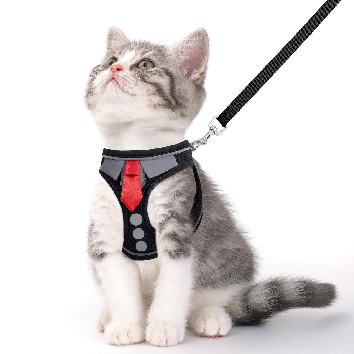 NCMAMA cat harness and leash set in lightweight breathable mesh for comfortable daily walks.