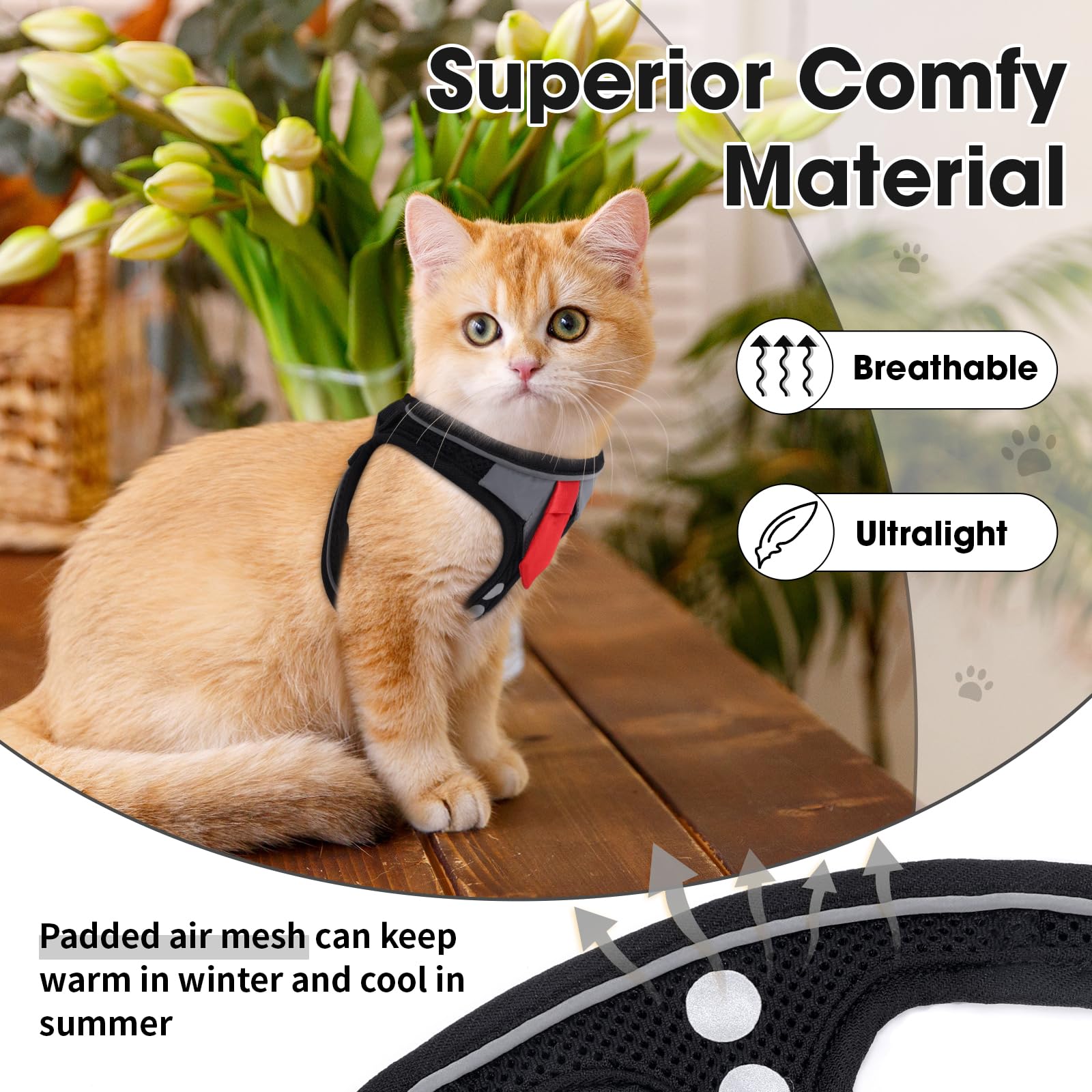 NC MAMA compact walking kit for cats and small pets