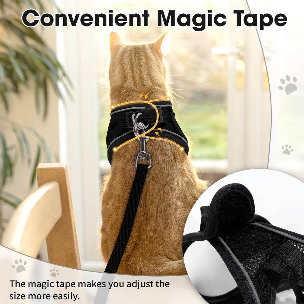 NCMAMA small size kitten harness fits petite frames securely.