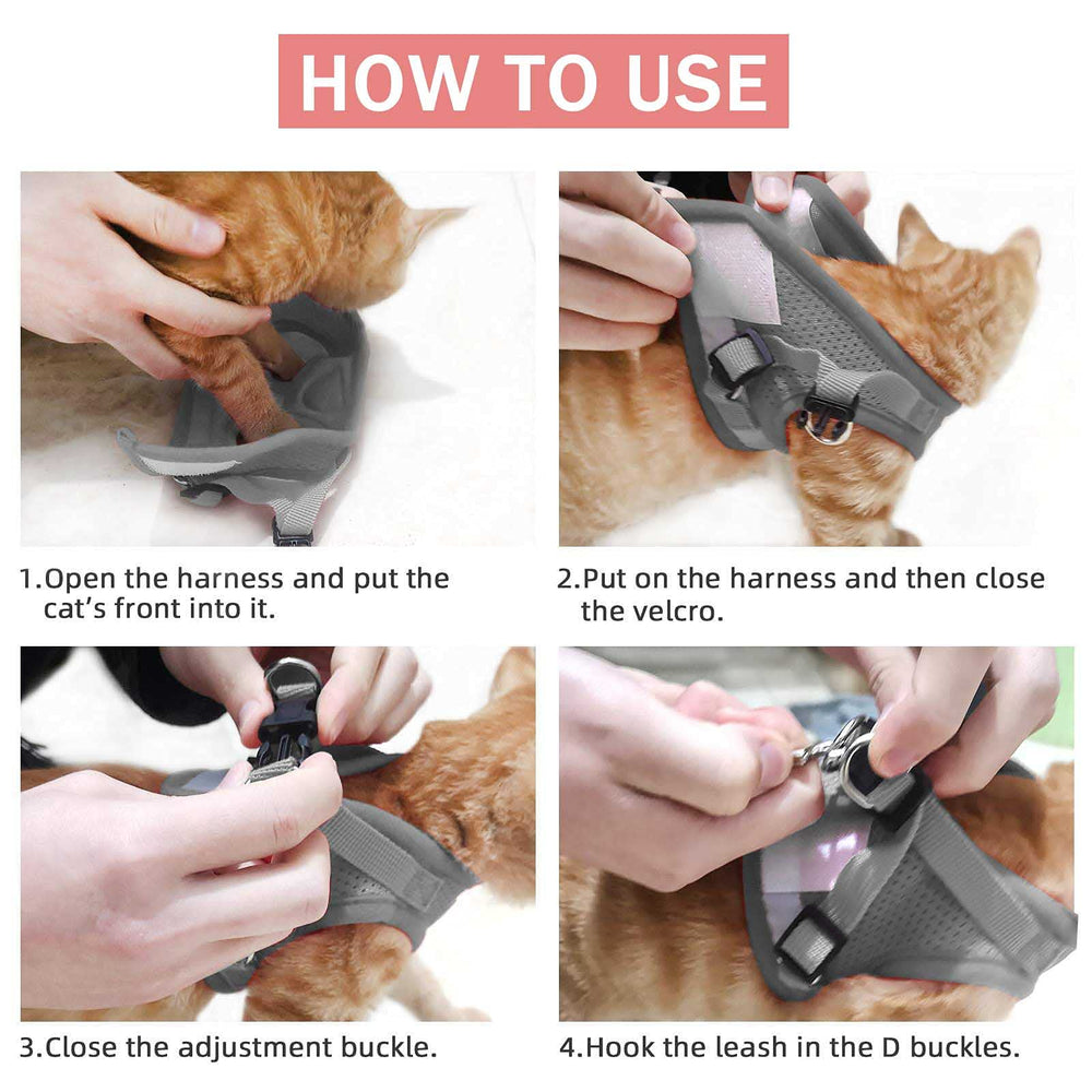 NCMAMA outdoor walk scene with pink-pattern vest harness on pet