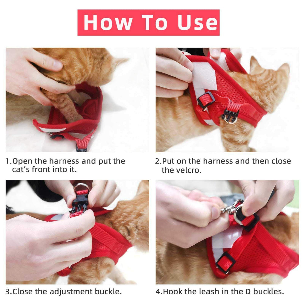 NCMAMA cat-dog-vest-harness red XS on-walk demonstrates comfortable freedom.