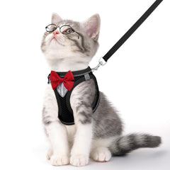 NCMAMA cat vest-harness breathable mesh for comfortable daily walks