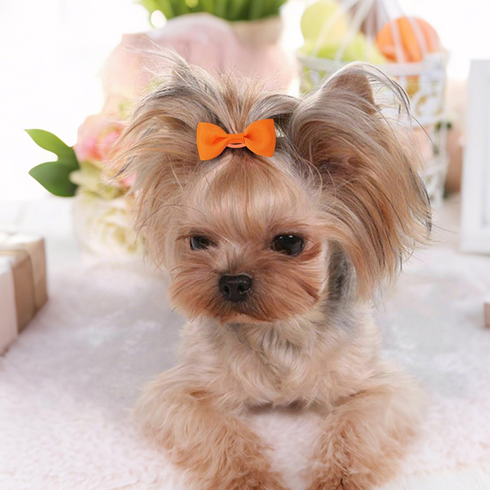 NCMAMA dog hair bows with elastic ties in bright colors for daily wear
